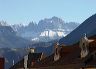bolzano.dsc07808