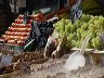 obst-gemuese.05866