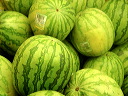 melonen-dsc06637