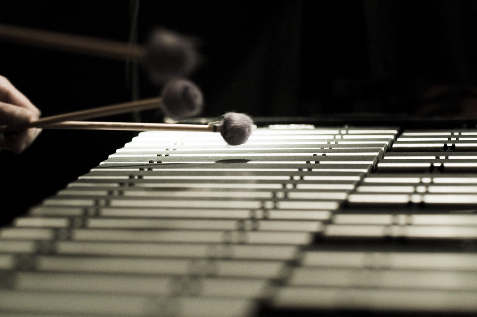 Vibraphon Musikinstrumente Bild 22 von 59