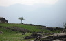 baum-img_0099