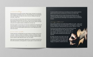 Doc Schaefer - Saitensüchtig