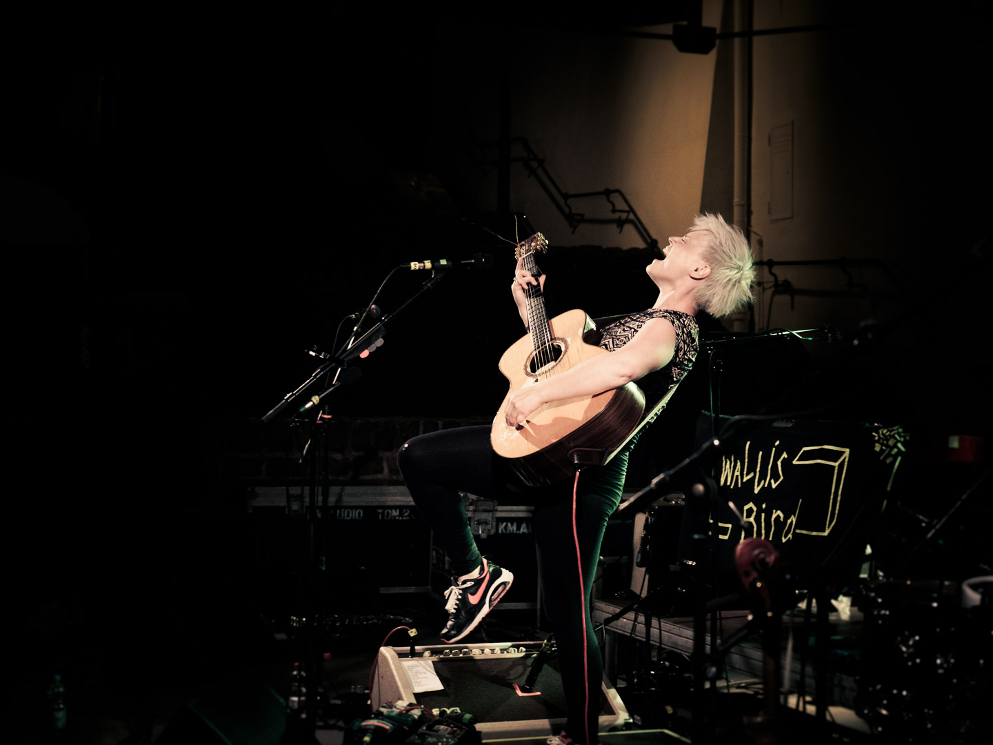 Wallis Bird