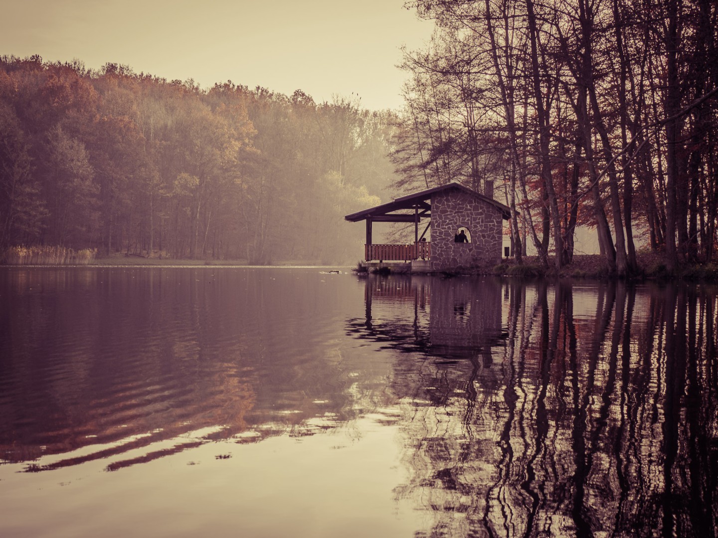 Saarland - Burbacher Waldweiher
