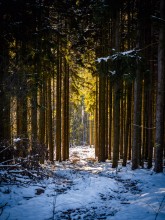 Winter im Saarland Winter im Saarland