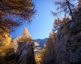 Südtirol im Herbst Südtirol im Herbst