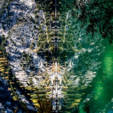 Verkehrte Welt … Verkehrte Welt …