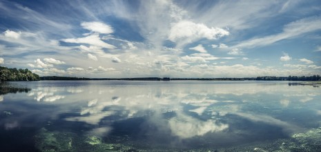 Linderweiher - Étang de Lindre