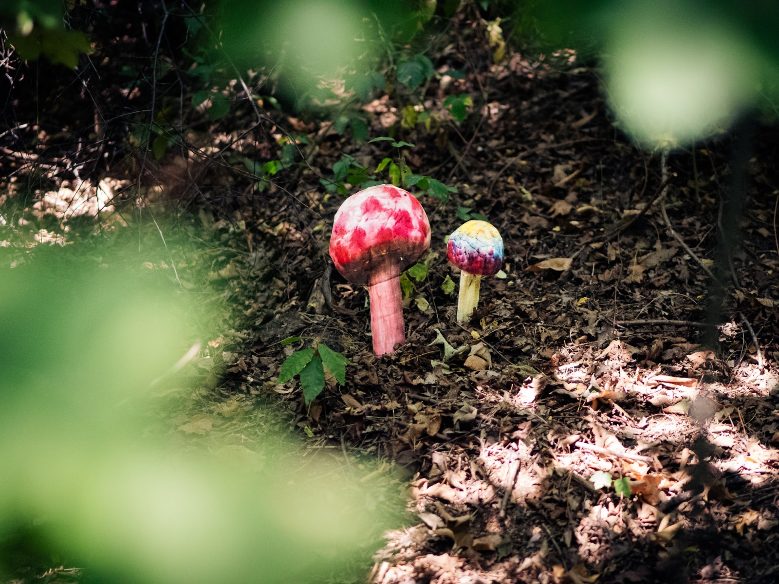 Elfenwanderung mit Annika Jonsson & Volker Schütz