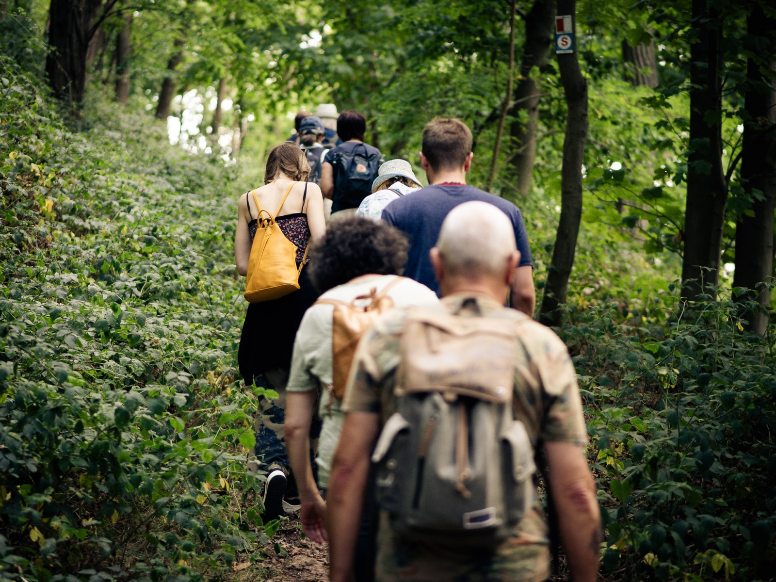 Elfenwanderung mit Annika Jonsson & Volker Schütz
