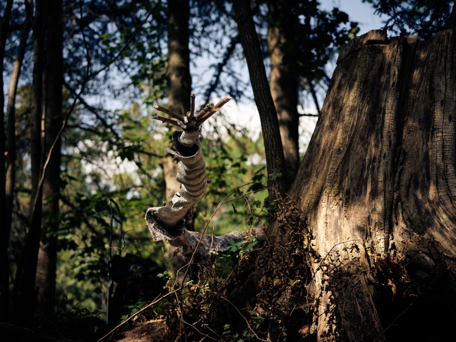 Elfenwanderung mit Annika Jonsson & Volker Schütz