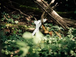 Elfenwanderung mit Annika Jonsson & Volker Schütz