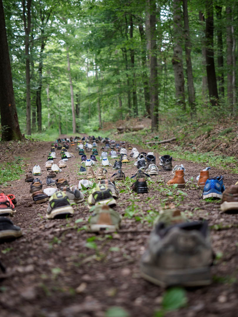 Kunst im Wald