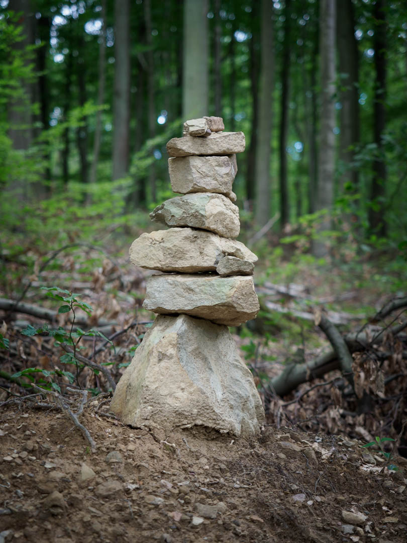 Kunst im Wald