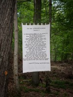 Ruf des Lippenluftklingers – Kunst im Wald