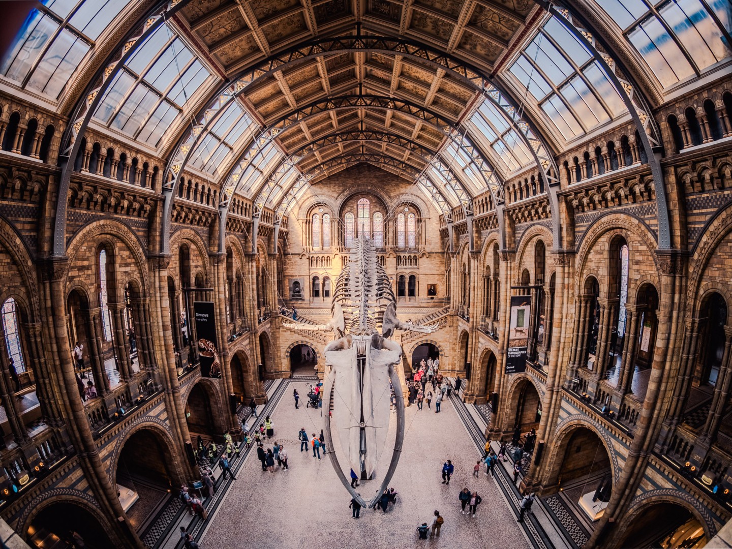 Natural History Museum