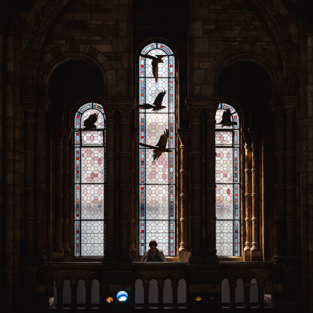 Natural History Museum