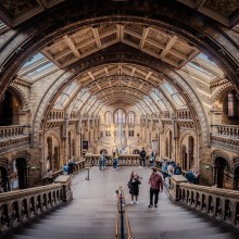 Natural History Museum