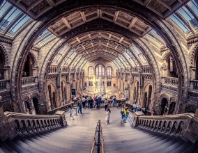 Natural History Museum