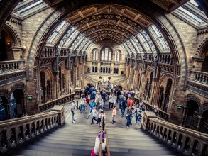 Natural History Museum, London