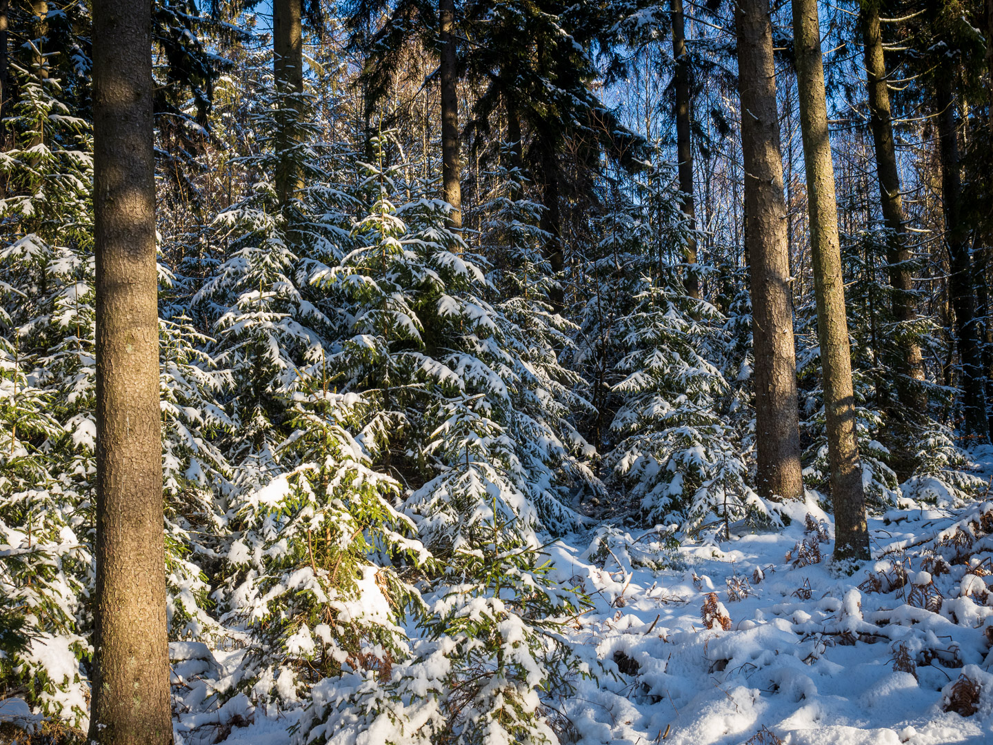 Winter im Saarland