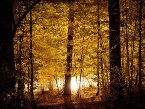 Herbstsonne Herbstsonne