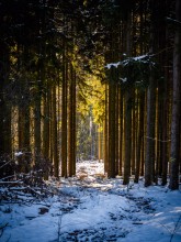 Winter im Saarland Winter im Saarland