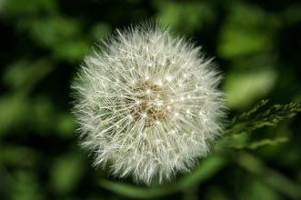 PICT3214.jpg PICT3214.jpg