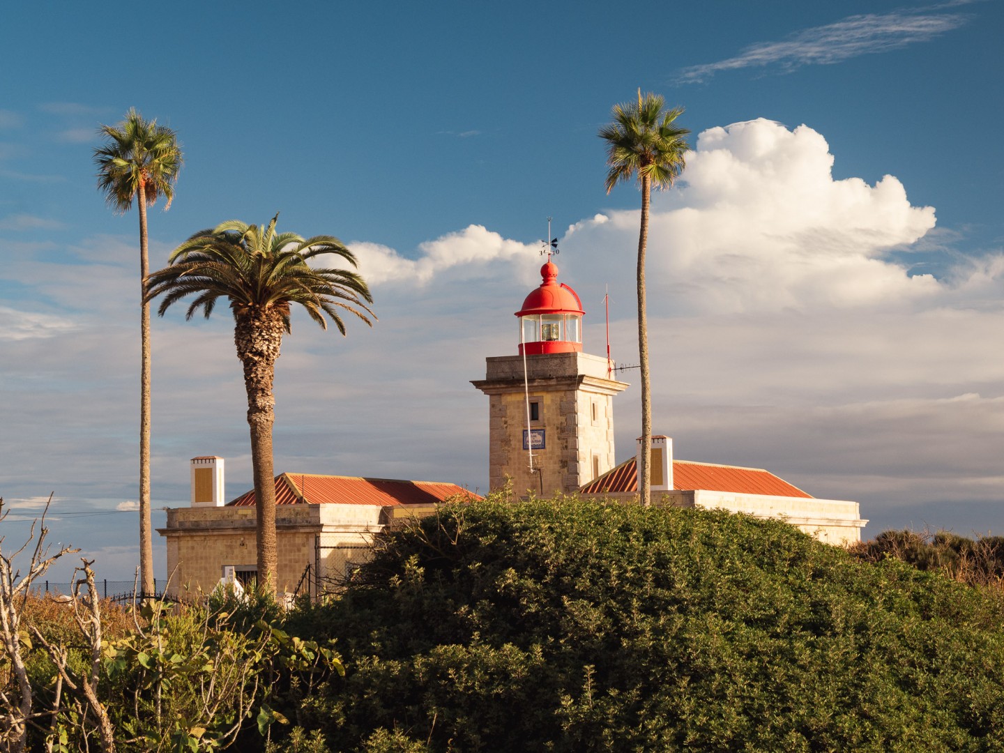 Palme mit Leuchtturm