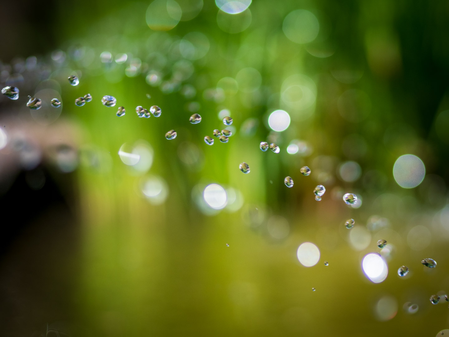 Wasser