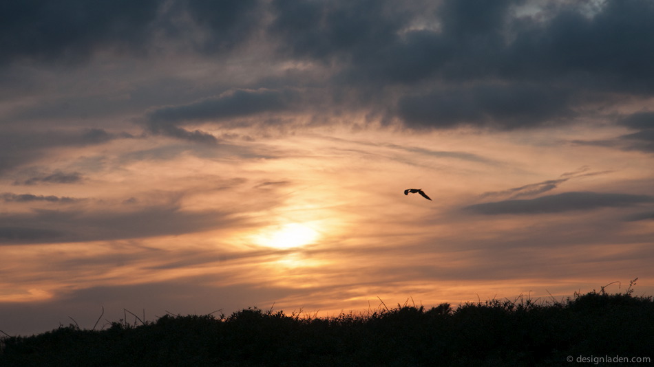 sonnenuntergang-06893.jpg