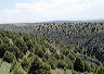 Rio Duratón