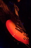 e-gitarre.pict2658