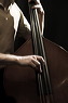 pict2388-kontrabass
