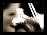 geige-dsc02270-grau