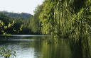 weiher-pict8881